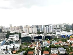 Stirling Residences (D3), Apartment #539160631